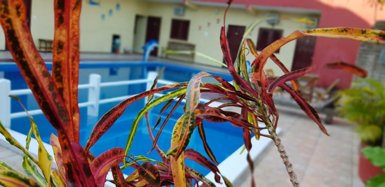 Pousada Vital Jijoca de Jericoacoara Exterior foto